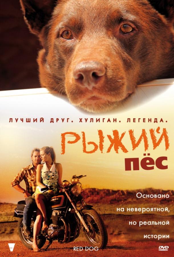Фильм Рыжий пес (2011) смотреть онлайн бесплатно