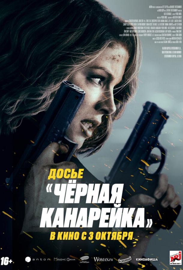 Фильм Досье «Чёрная канарейка» 2024 смотреть онлайн с Рэем Стивенсоном и Эммой Гойкович